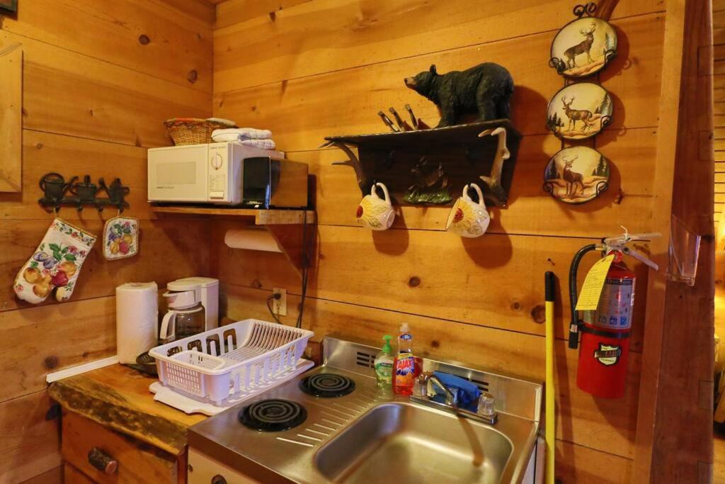 Cozy Cabin W/ Fireplace 3 Minutes To Helen! #2. Ngoại thất bức ảnh