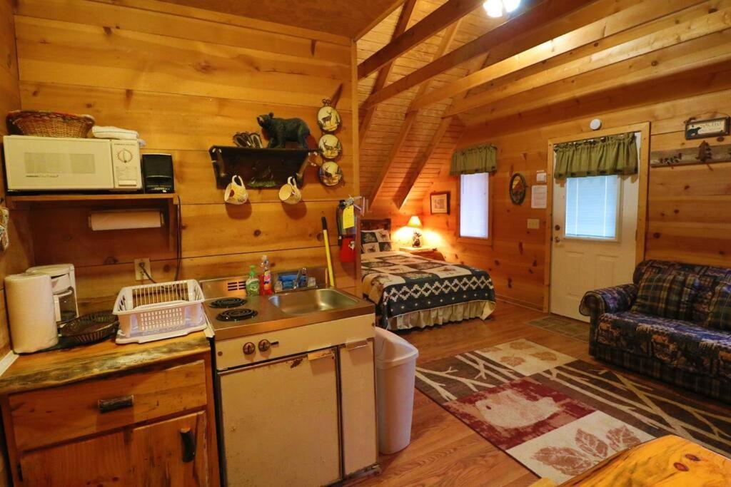 Cozy Cabin W/ Fireplace 3 Minutes To Helen! #2. Ngoại thất bức ảnh